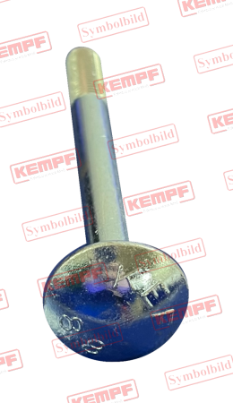 22150 KEMPF Flachrundschraube mit Vierkantansatz M6x20